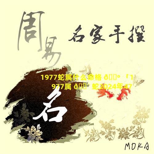 1977蛇属什么命格 🌺 「1977属 🐴 蛇2024年47岁以后运气」